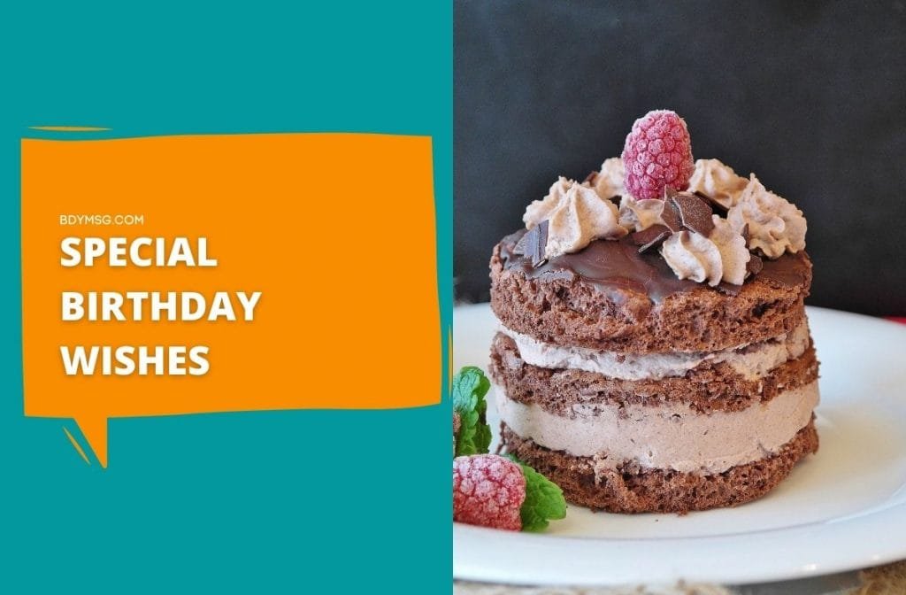 60 Special Birthday Wishes For Someone Important In Your Life