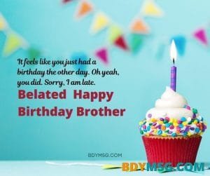 55 Belated Birthday Wishes for Brother, Messages and Images