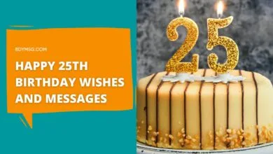 Happy 25th Birthday Wishes and Messages